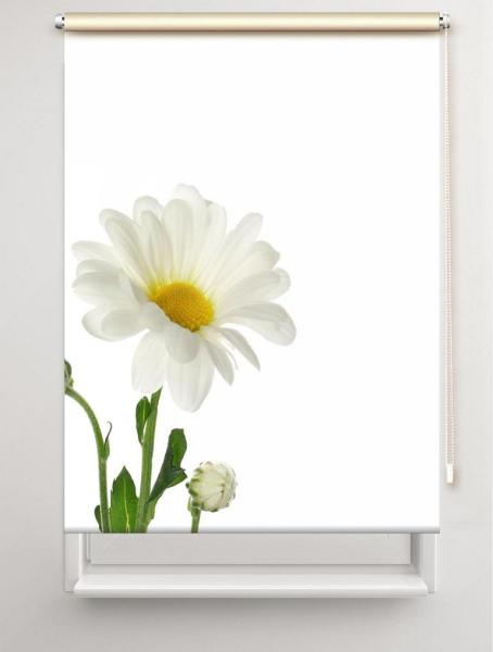 Rollo Margarete links, Rollo, Motivrollo, Rollo mit Druck, Fotorollo, bedrucktes Rollo, Fensterrollo,verdunkelndes Rollo, Sonnenschutz Rollo